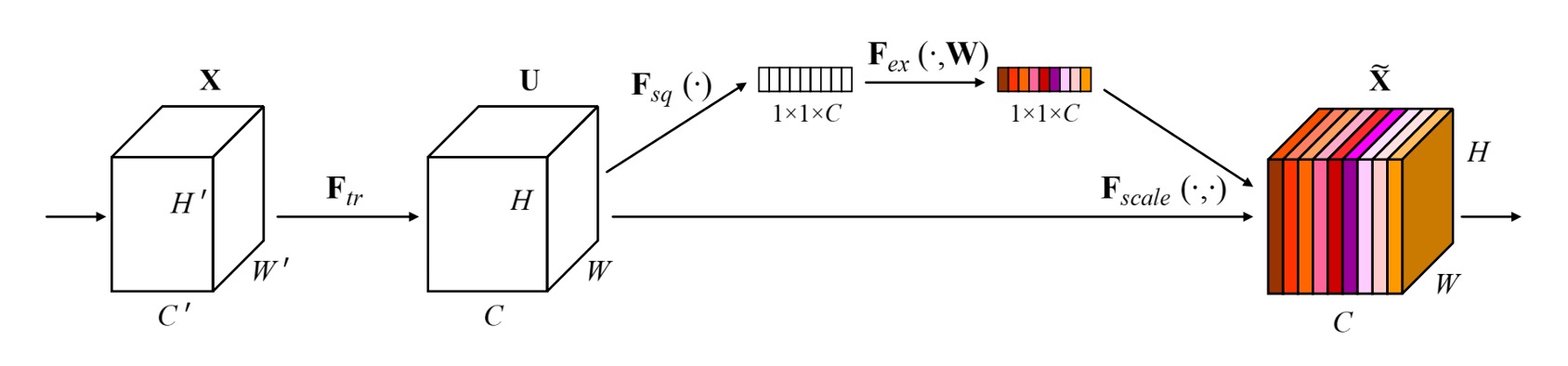 SENet arch