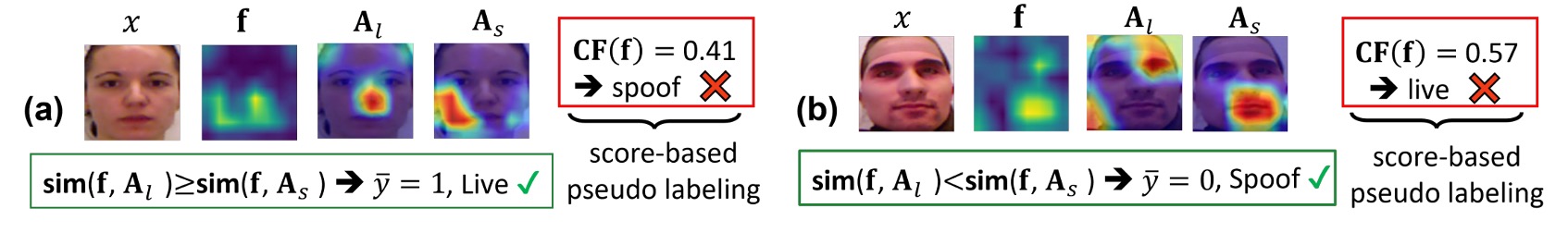 activation-based pseudo-labeling