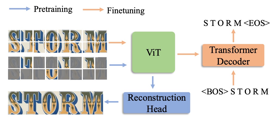 model architecture