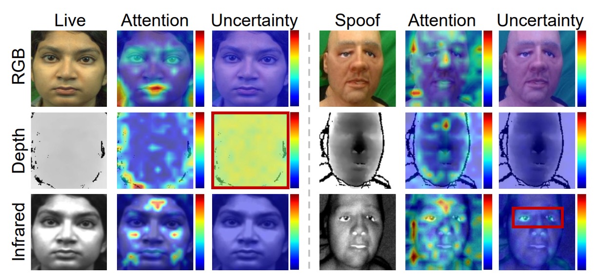 visualization
