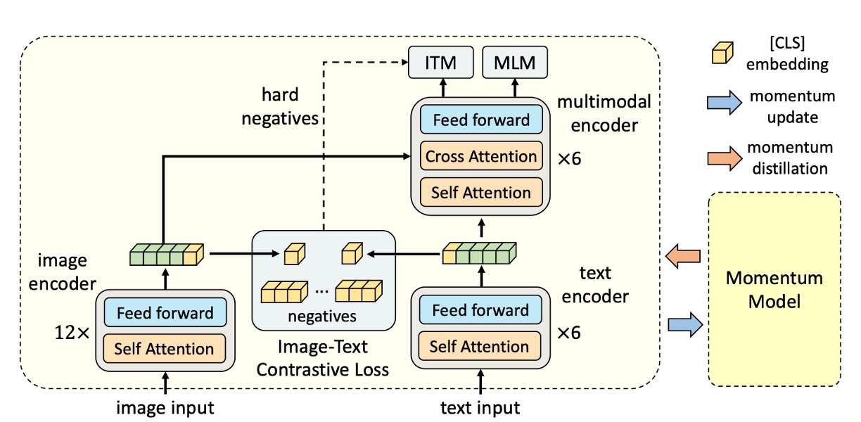 ALBEF Model Architecture