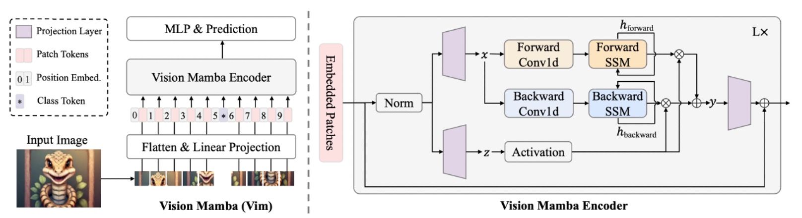 model architecture