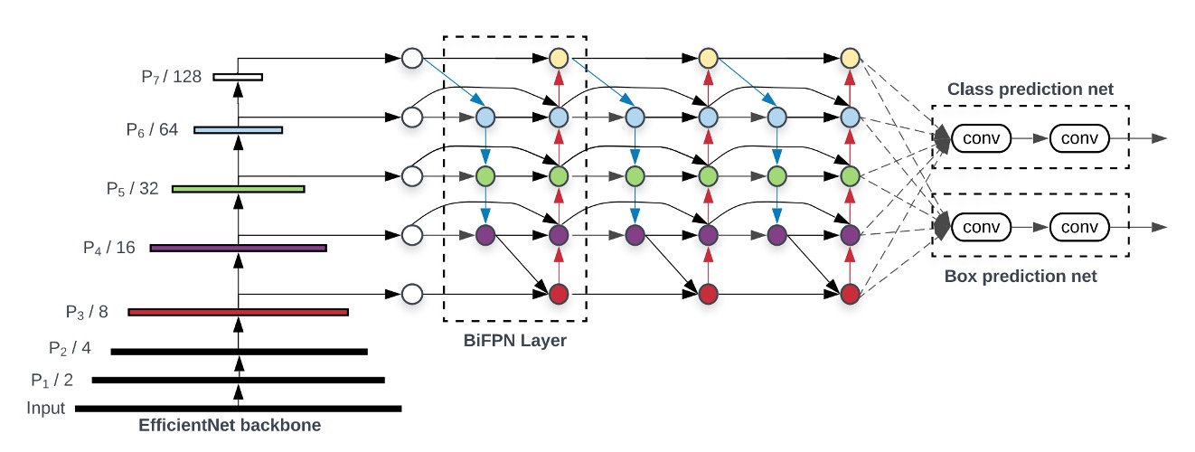 bifpn arch