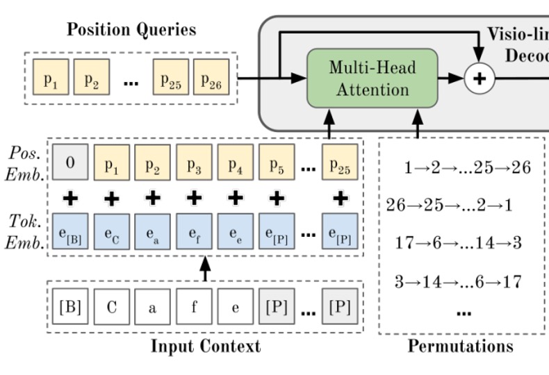 model architecture