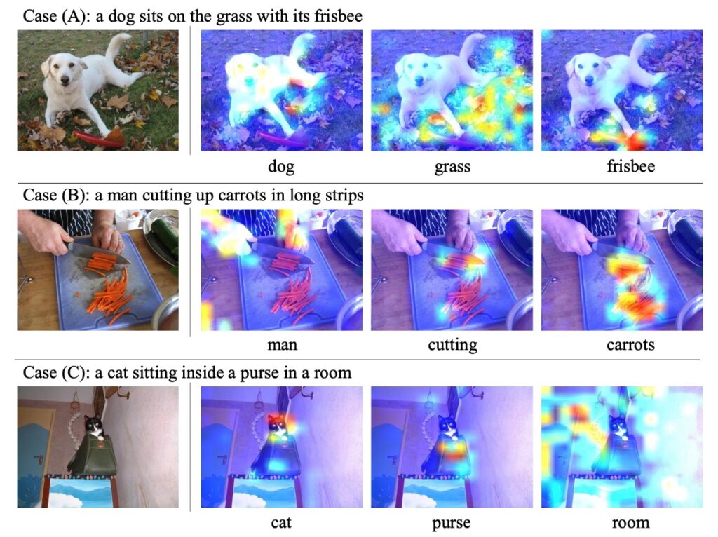 Pixel-BERT Visualization