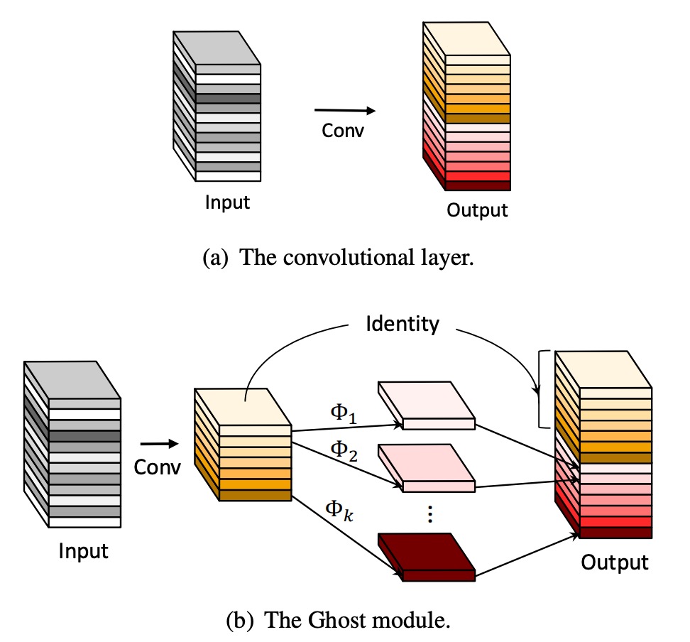 model_arch