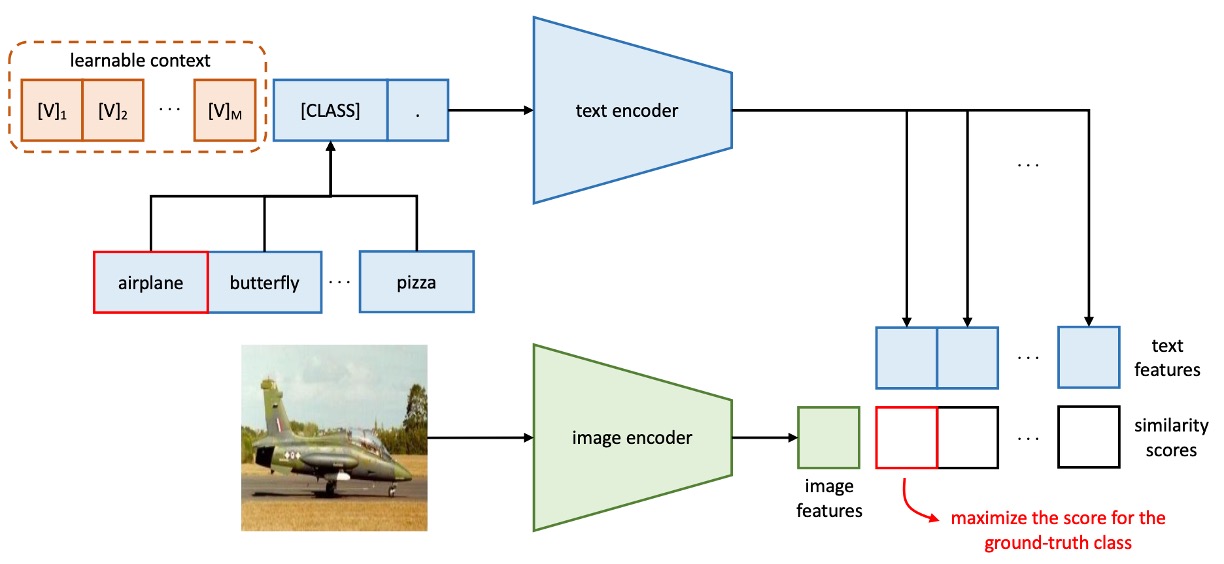 coop model arch