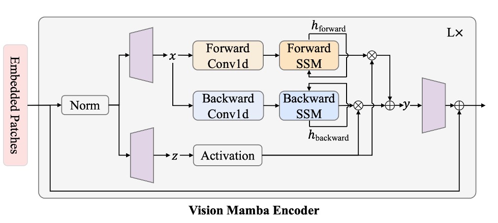 model architecture