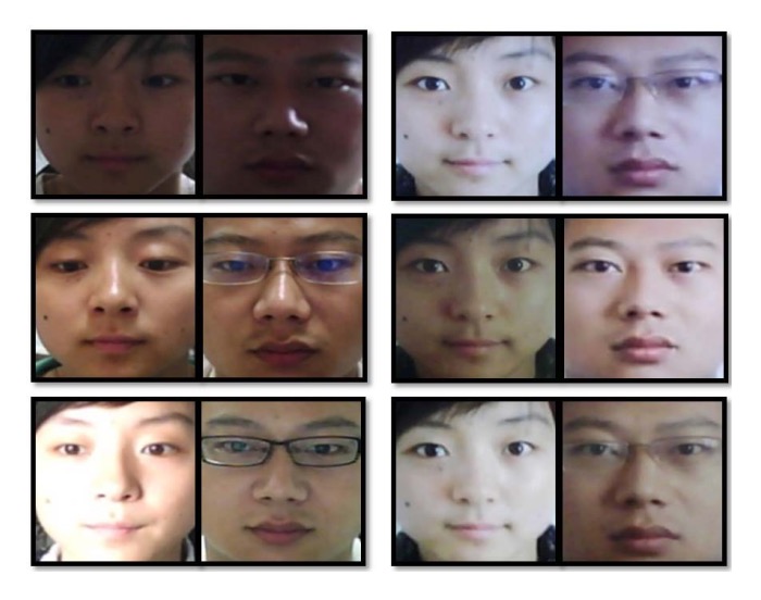 dataset
