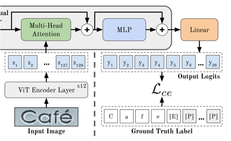 model architecture