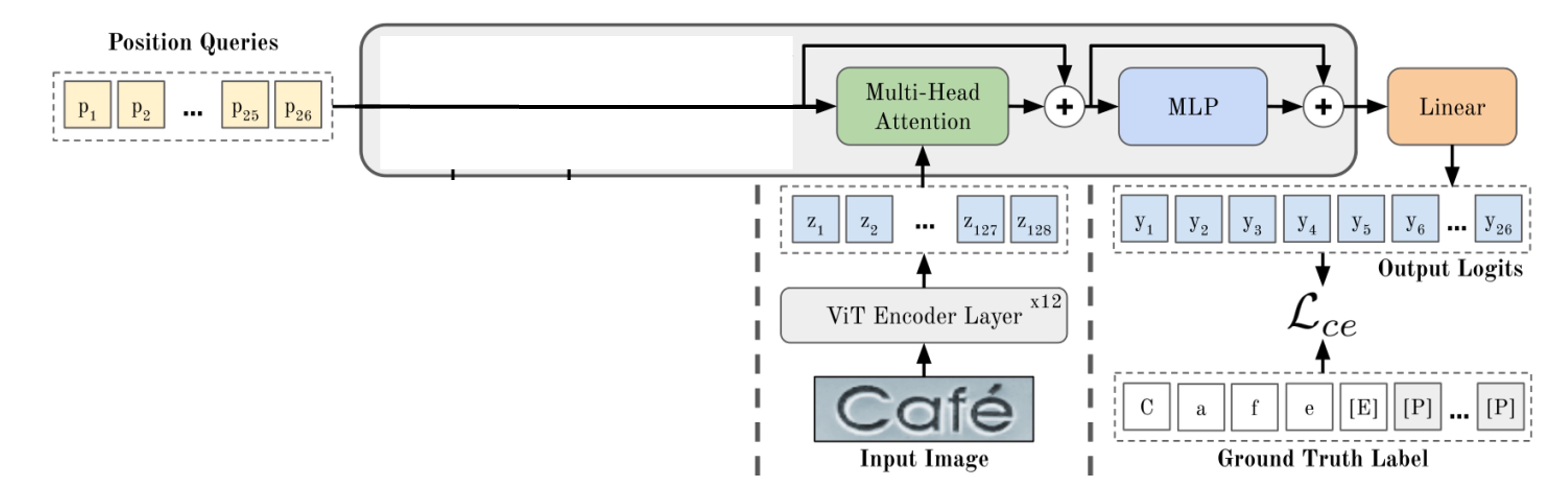 model architecture